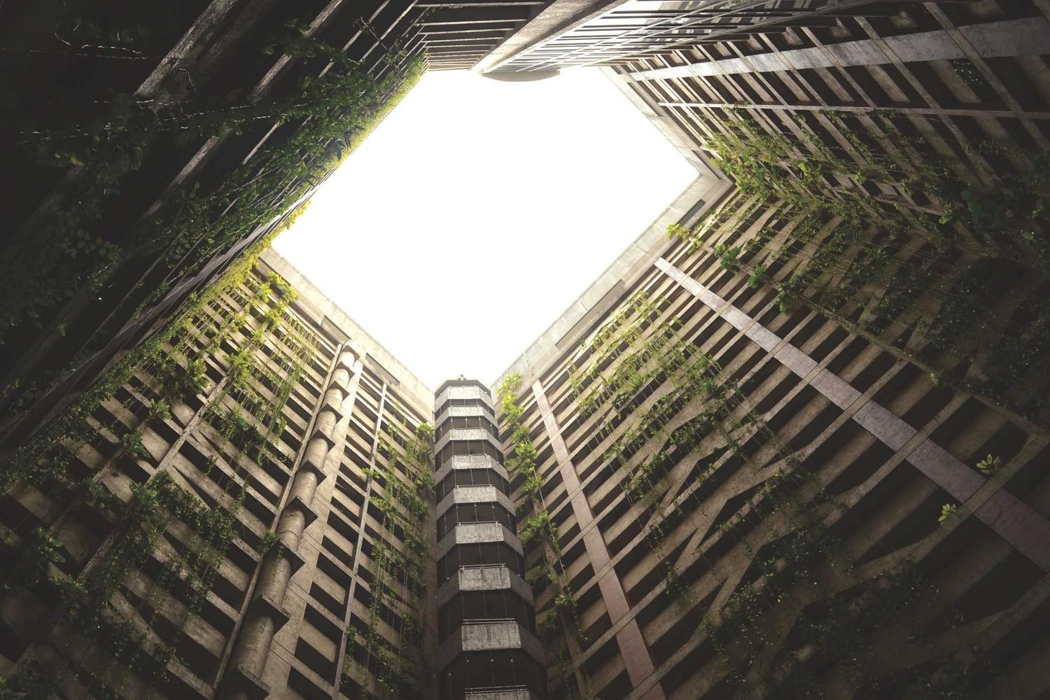 Looking up from the centre of a courtyard with planting on the surrounding walls